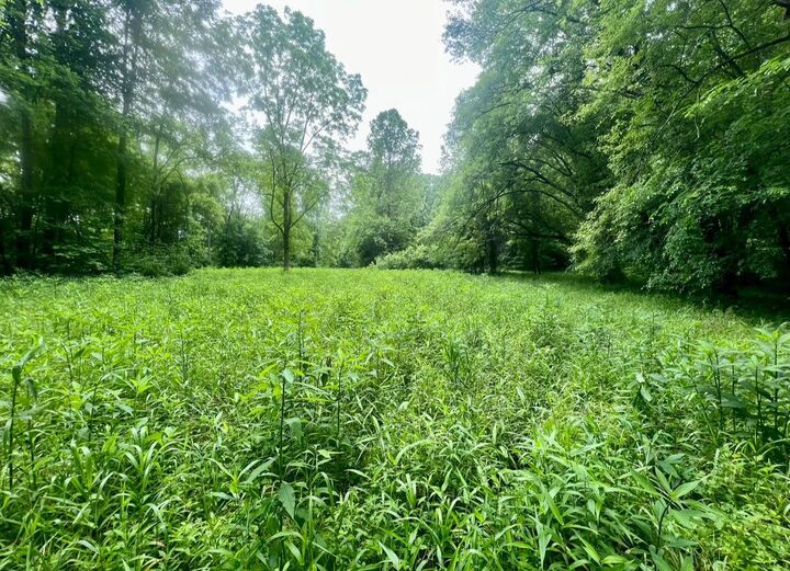 Property Photo:  22250 Kentucky 3  KY 41168 