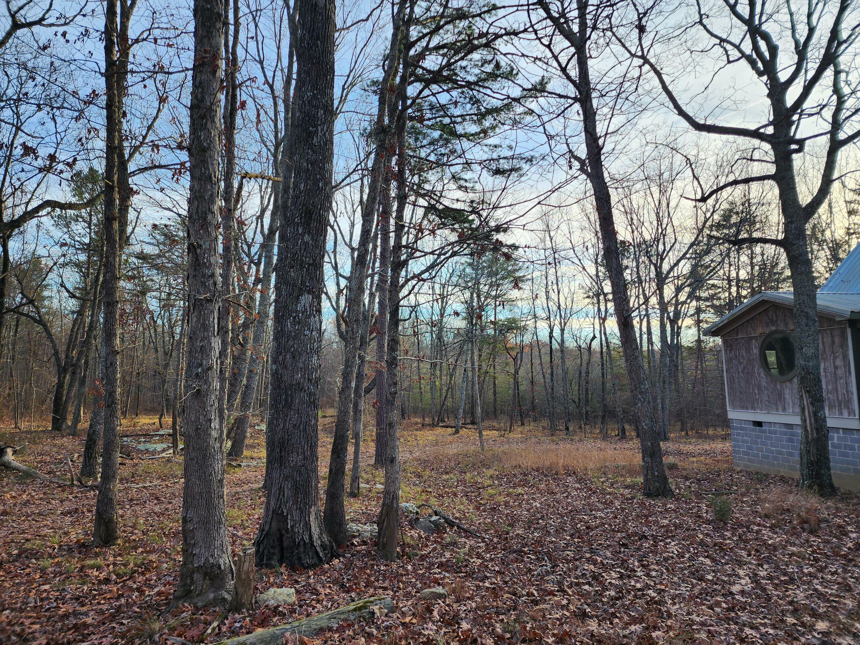 Property Photo:  21766 Highway 157  GA 30731 