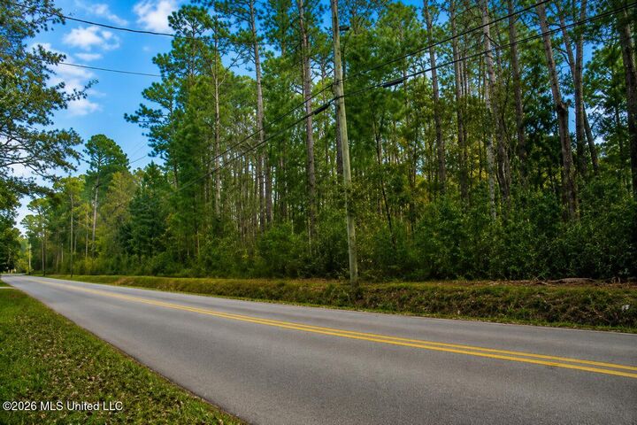 Property Photo:  Elm Avenue  MS 39564 