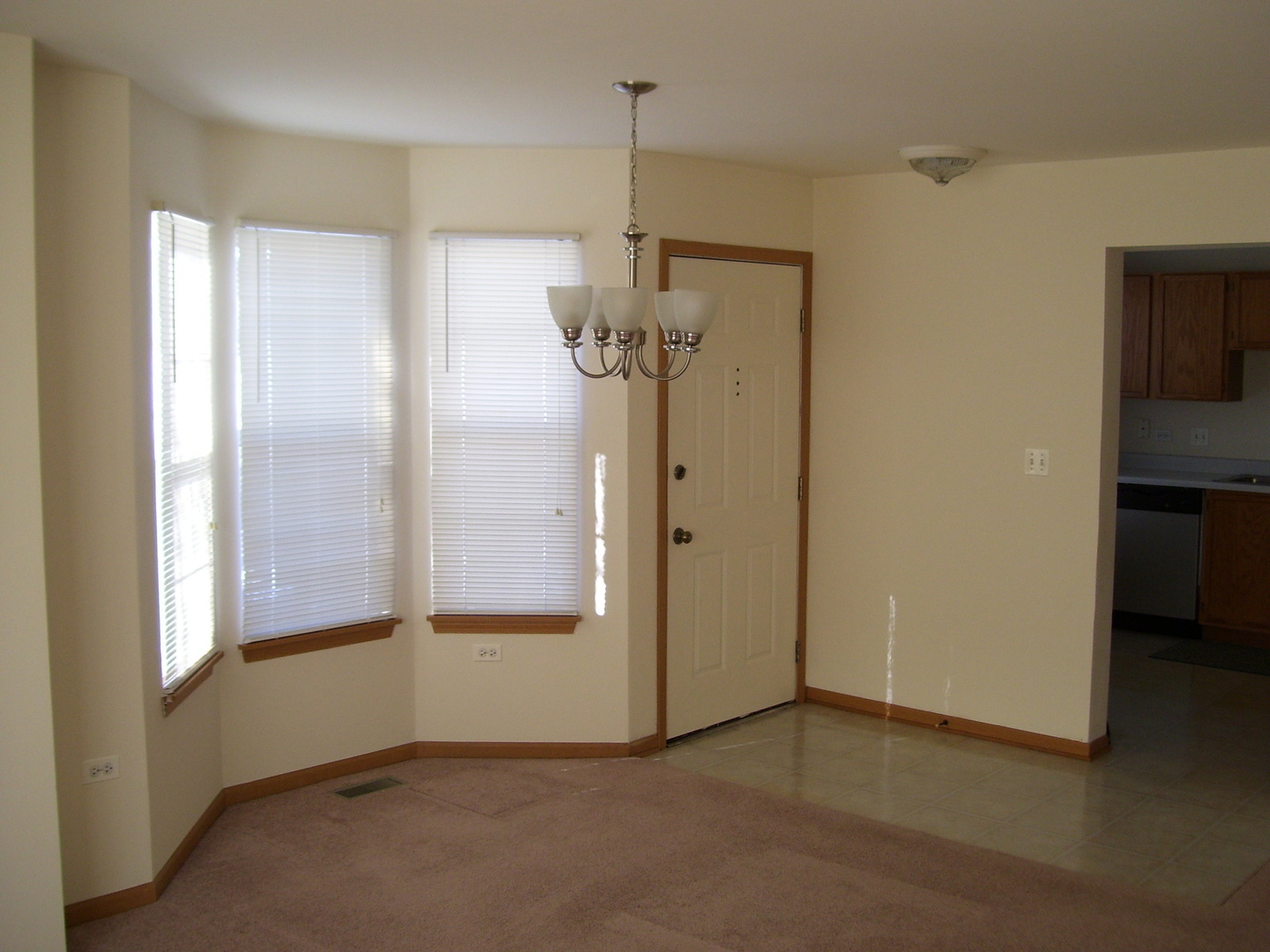 Property Photo:  2511 Sheehan Drive 101  IL 60564 