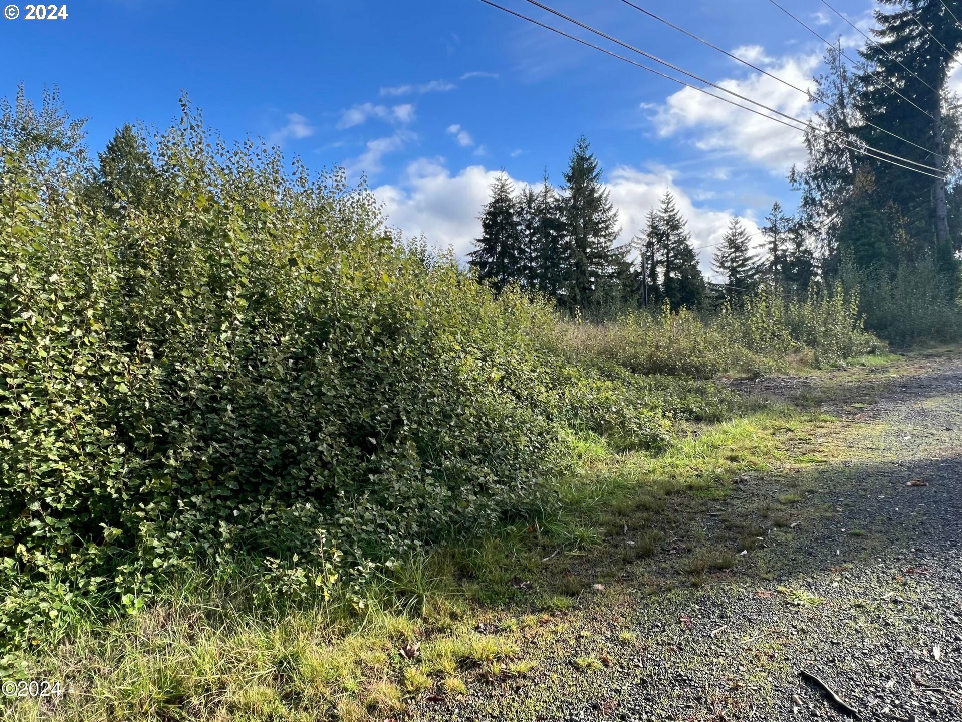 Property Photo: 936 NE Highway 20 OR 97391