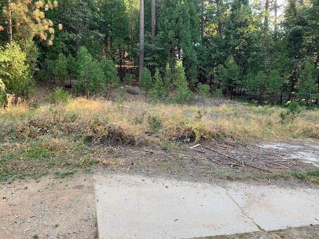 Property Photo: 22975 Twain Harte Dr CA 95383