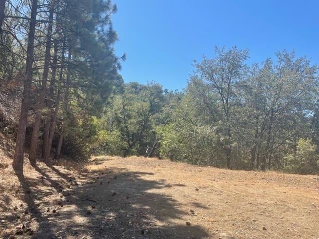 Property Photo: 22950 Upper Cedarcrest Rd CA 95370