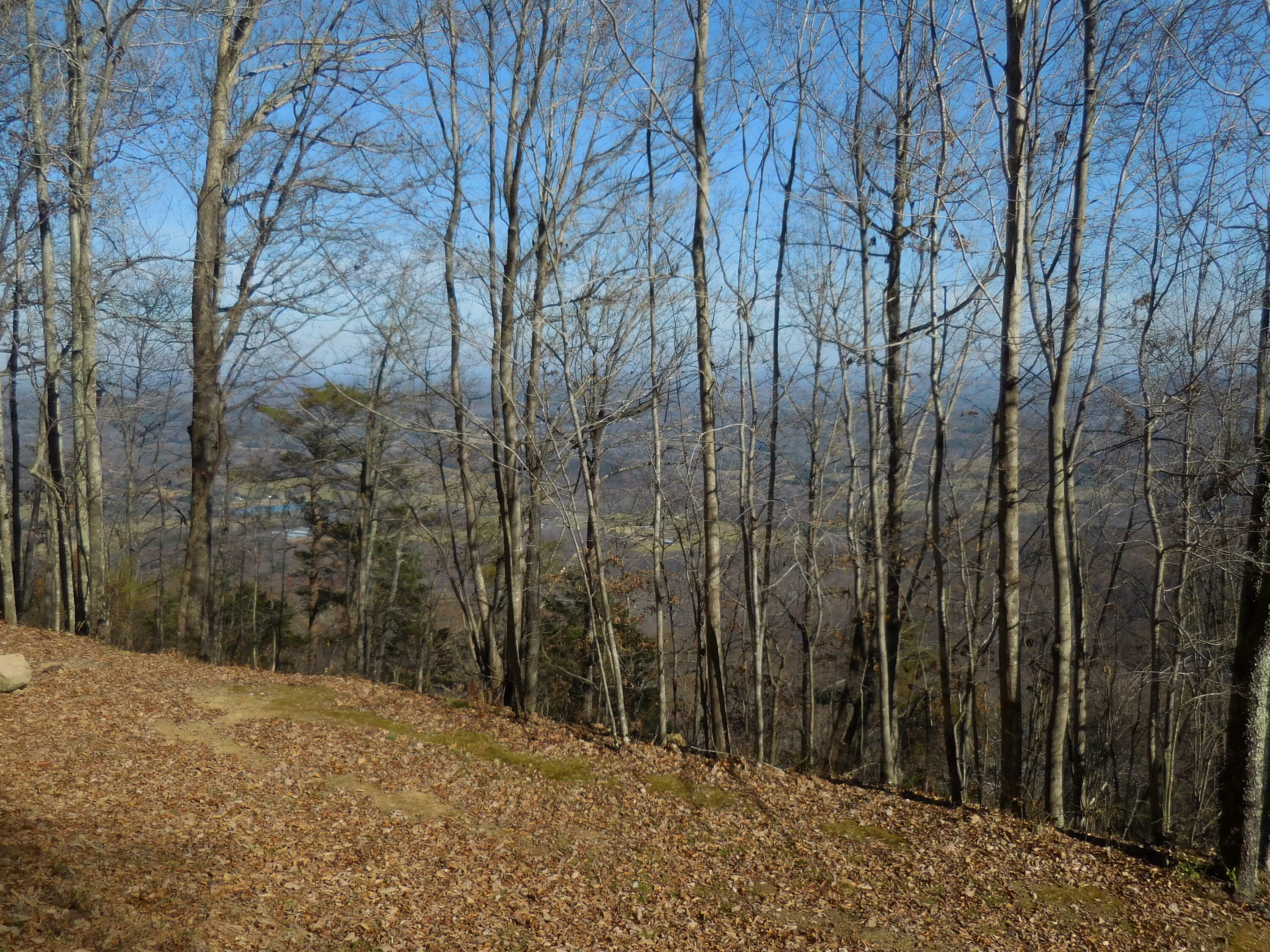 Property Photo:  H63 Tatum Mining Road  GA 30731 