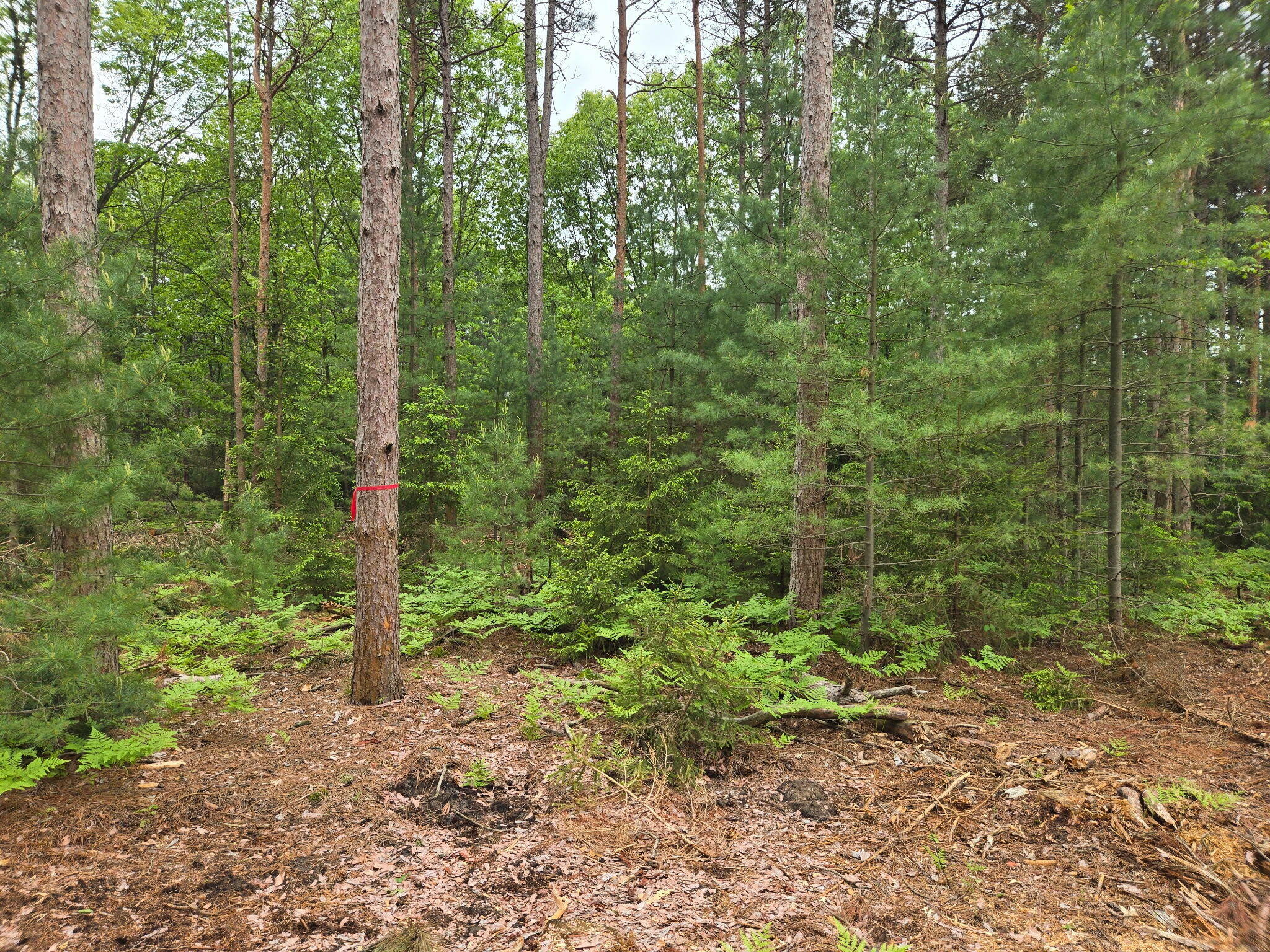 Property Photo: Parcel E 52nd Avenue MI 49436