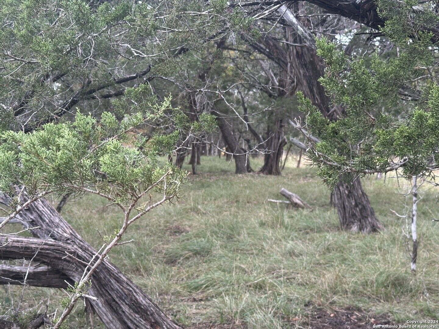 Property Photo:  Lots 1-3 Indian Trail  TX 78063 