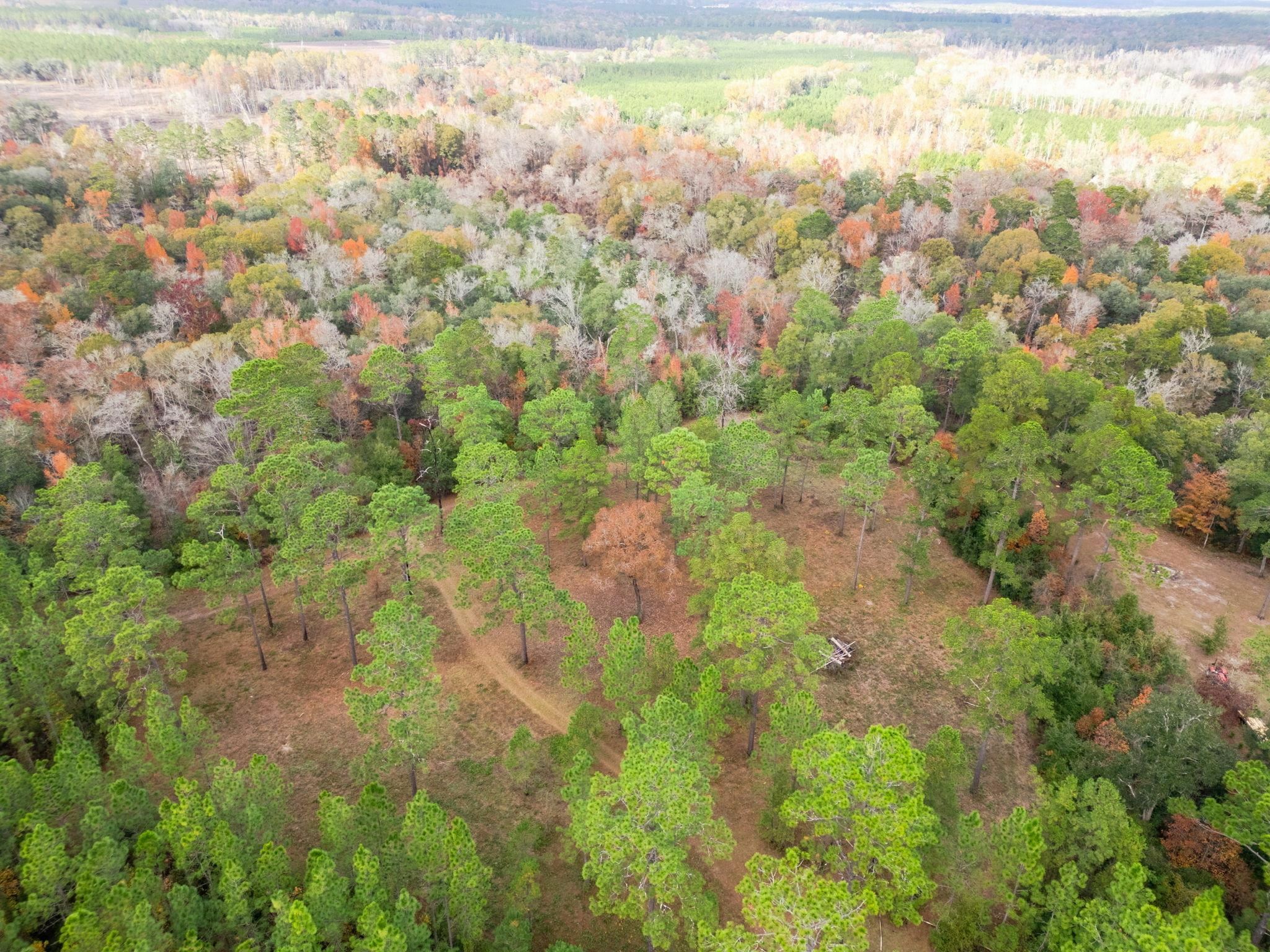 Property Photo:  Pine Bluff Trail  FL 32312 