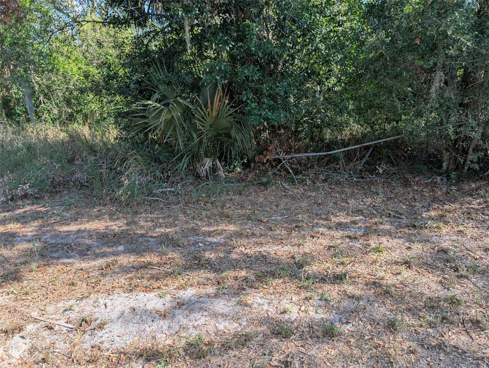 Property Photo:  865 3rd Street  FL 33881 