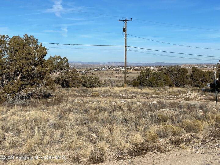 Property Photo: 1 Ac Xx Road 3950 NM 87401