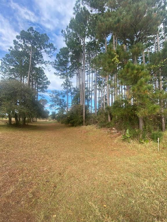 Property Photo:  85107 Napeague Drive  FL 32034 