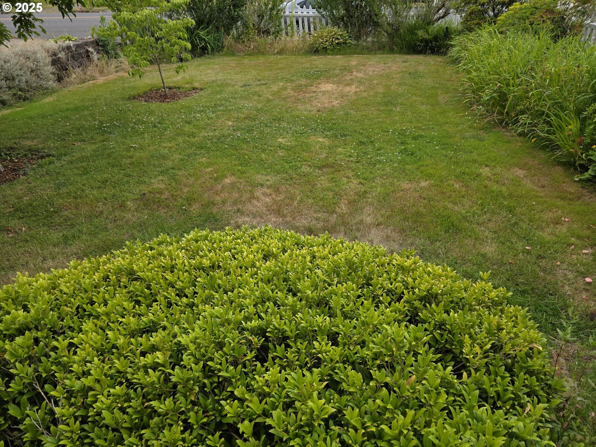 Property Photo: 124 NW 18th Ave WA 98607