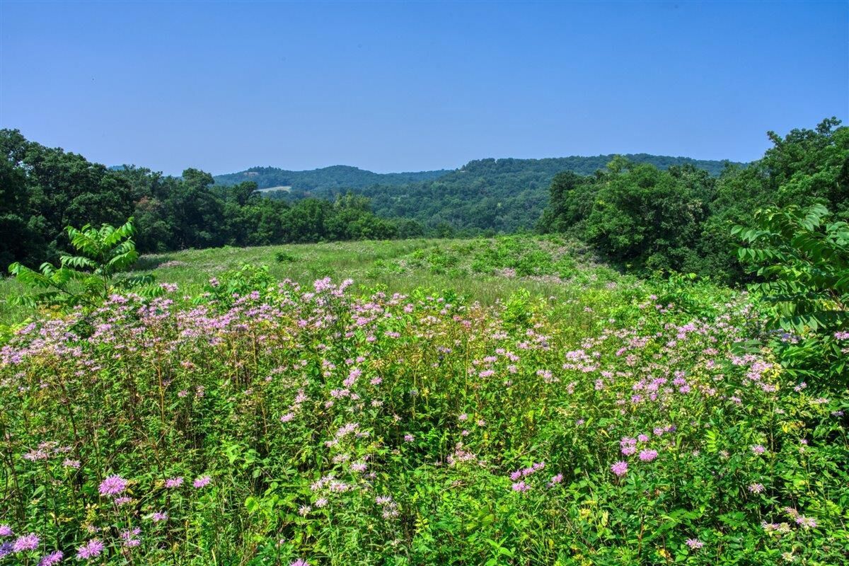 Property Photo: 165+/- Acres Miess Road WI 53533
