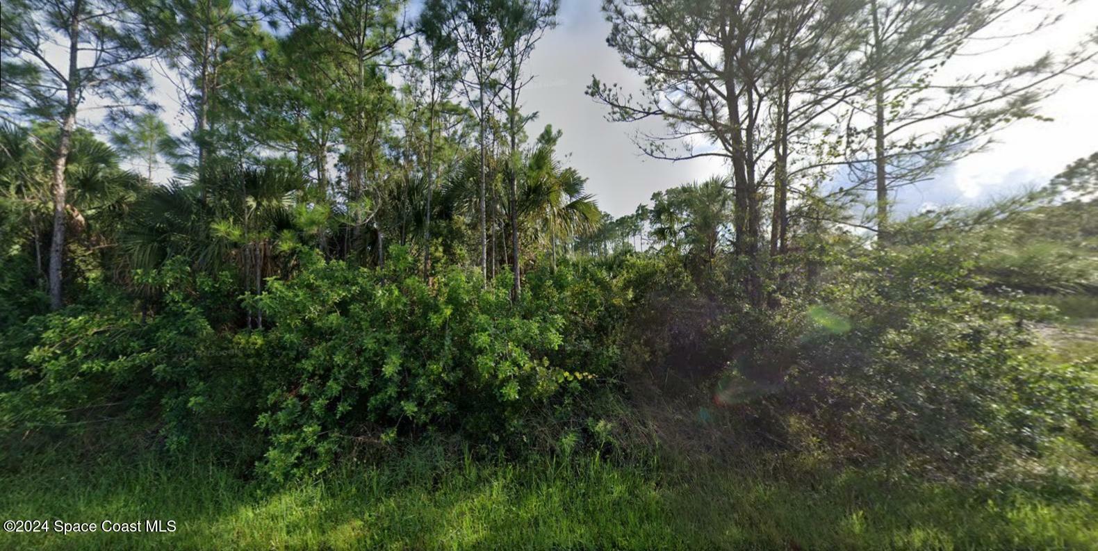 Property Photo:  550 Lamon Street SW  FL 32908 