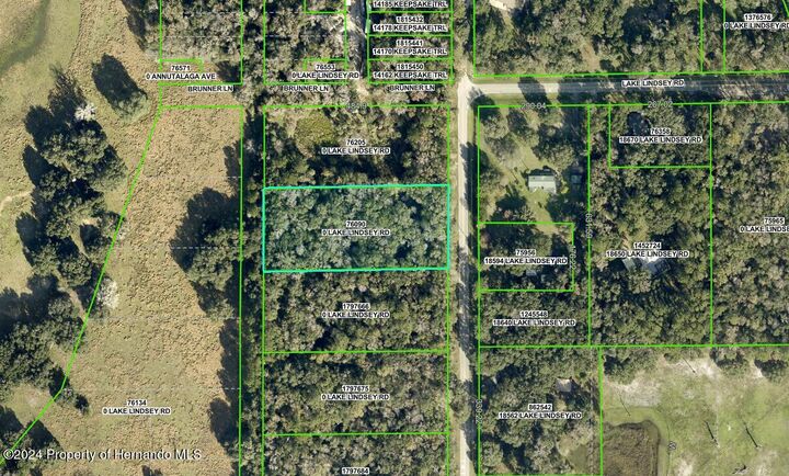 Property Photo:  0 Lake Lindsay Tract 2 Road  FL 34601 