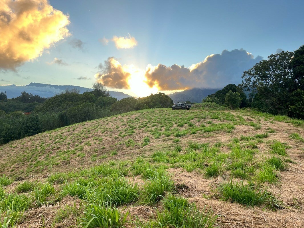 Property Photo:  Hauiki Rd  HI 96746 