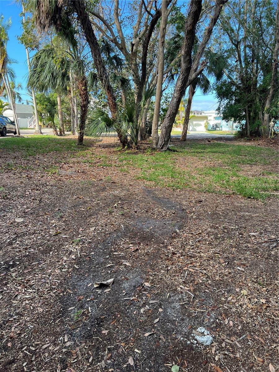 Property Photo:  418 12th Avenue  FL 33785 