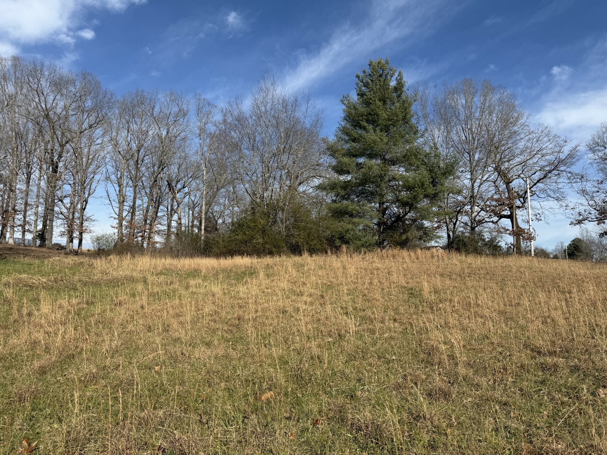 Property Photo:  2 Spring Creek Rd  TN 38464 