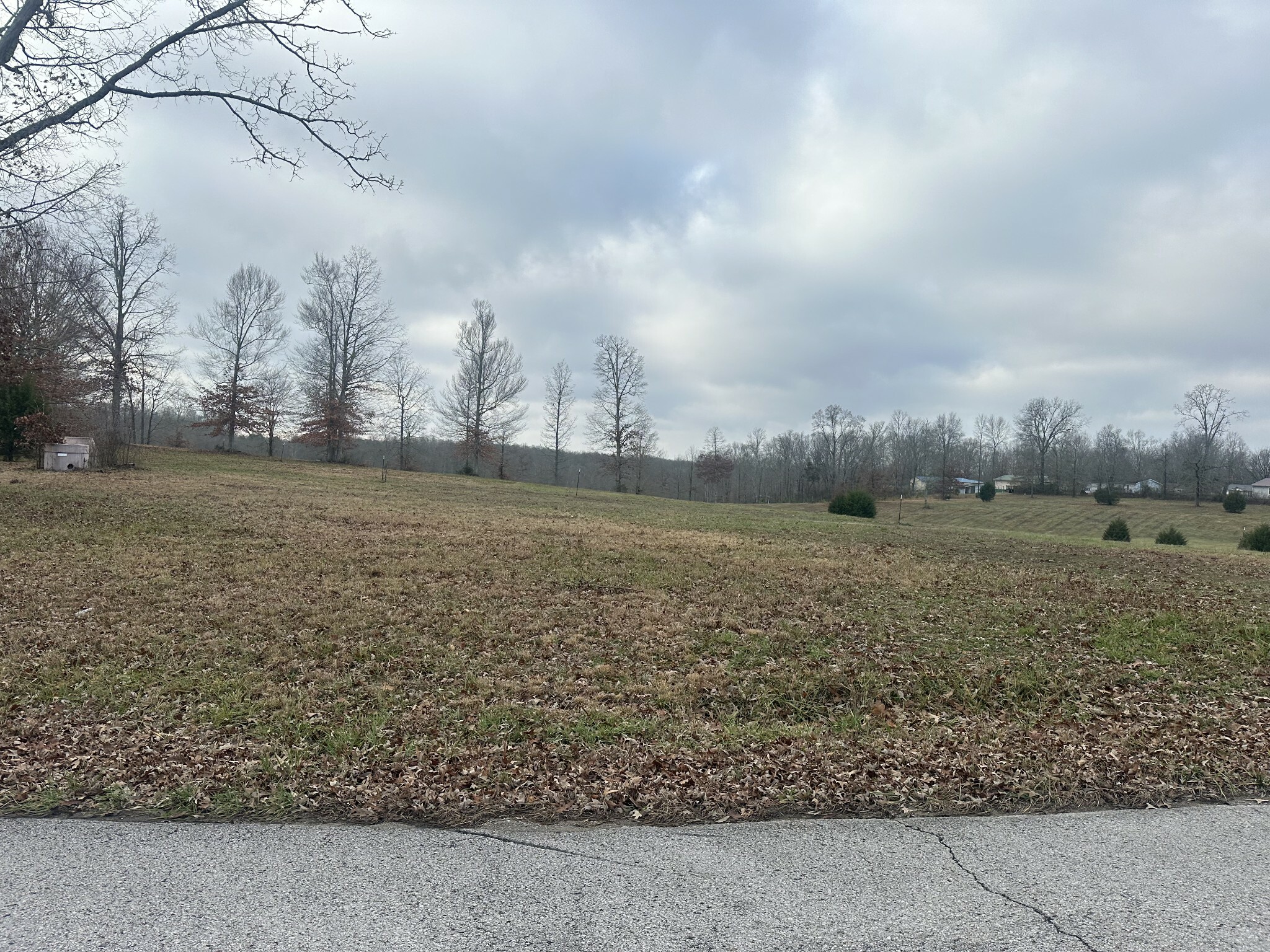 Property Photo: 0 Woodland Drive TN 38464