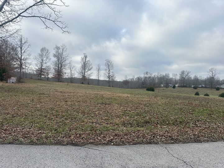 Property Photo: 0 Woodland Ave TN 38464