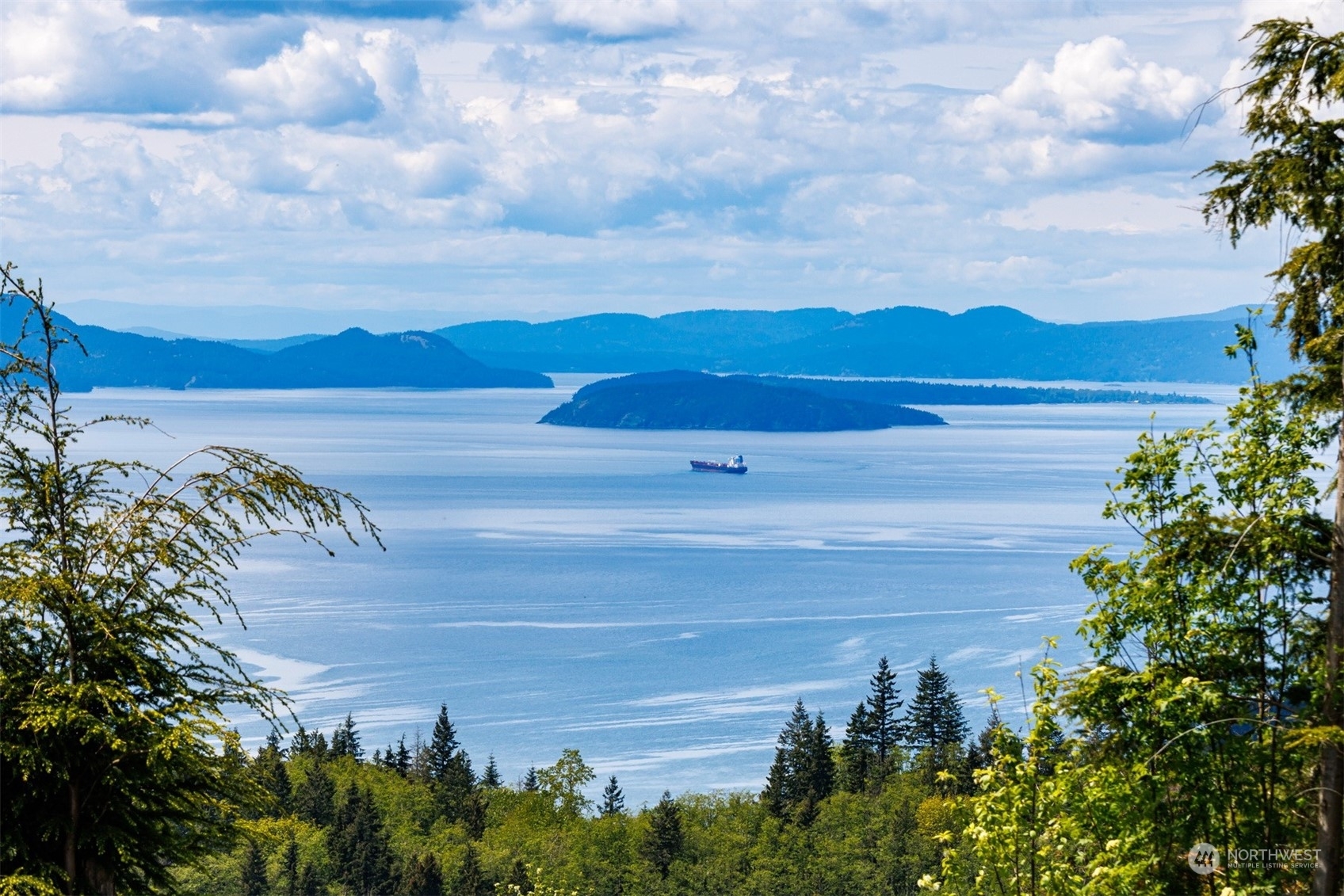 3120  Blanchard Knob Trail  Bow WA 98232 photo