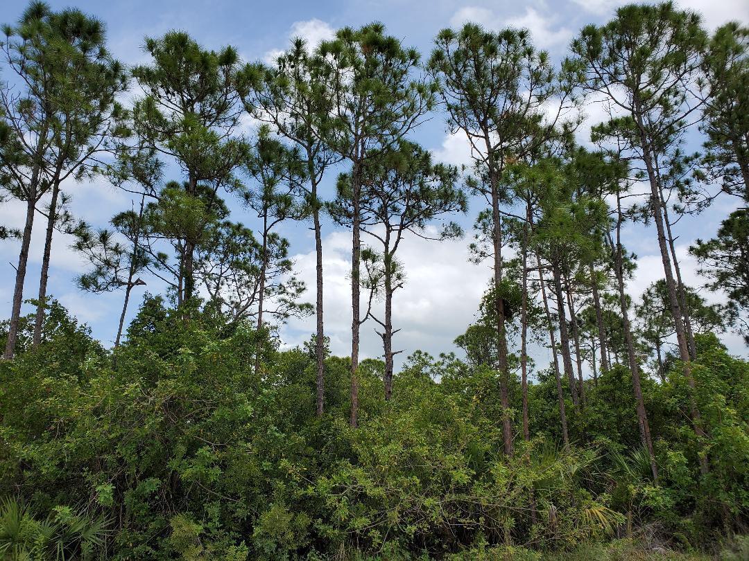 Property Photo: 51000 Southwind Trail FL 34945