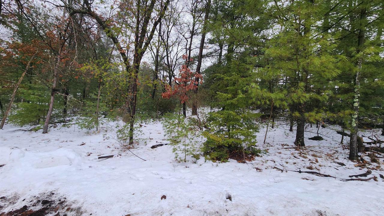 Property Photo: Lots 20-21 Leona Street WI 53934