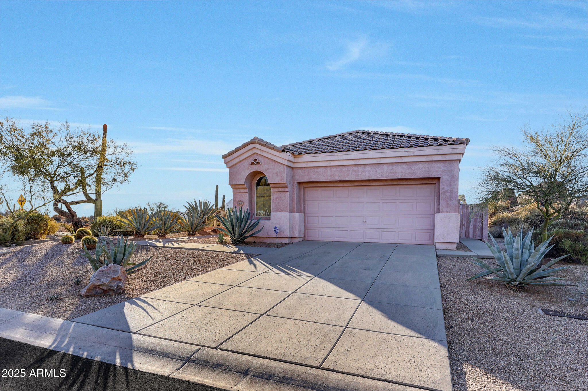 Property Photo:  11595 E Christmas Cholla Drive  AZ 85255 