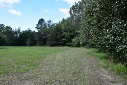 Property Photo:  Lot B Bobbie Lane  SC 29468 