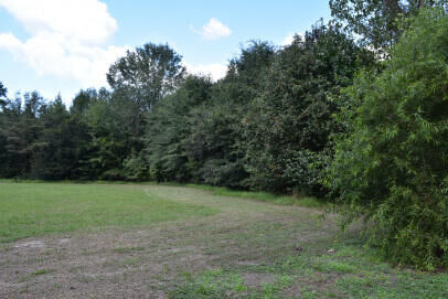 Property Photo:  Lot B Bobbie Lane  SC 29468 