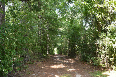 Property Photo:  Lot A Bobbie Lane  SC 29468 