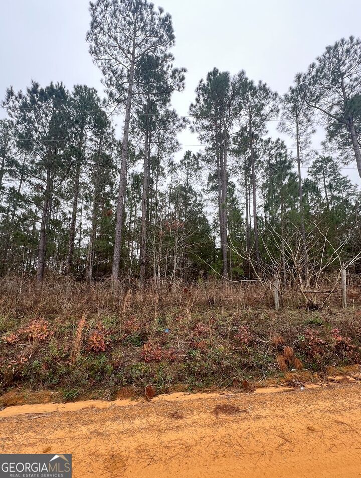 1031 Flucker Maddox Road  Rockledge GA 30454 photo