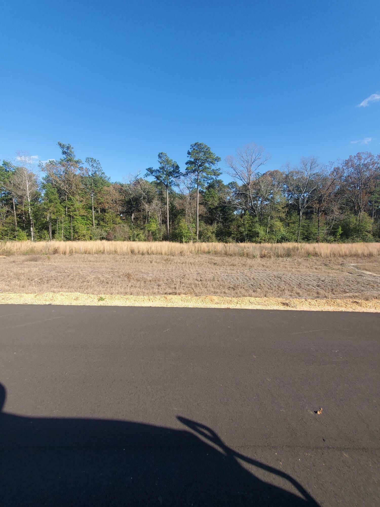 Property Photo:  15 Sandhill Oak  MS 39402 