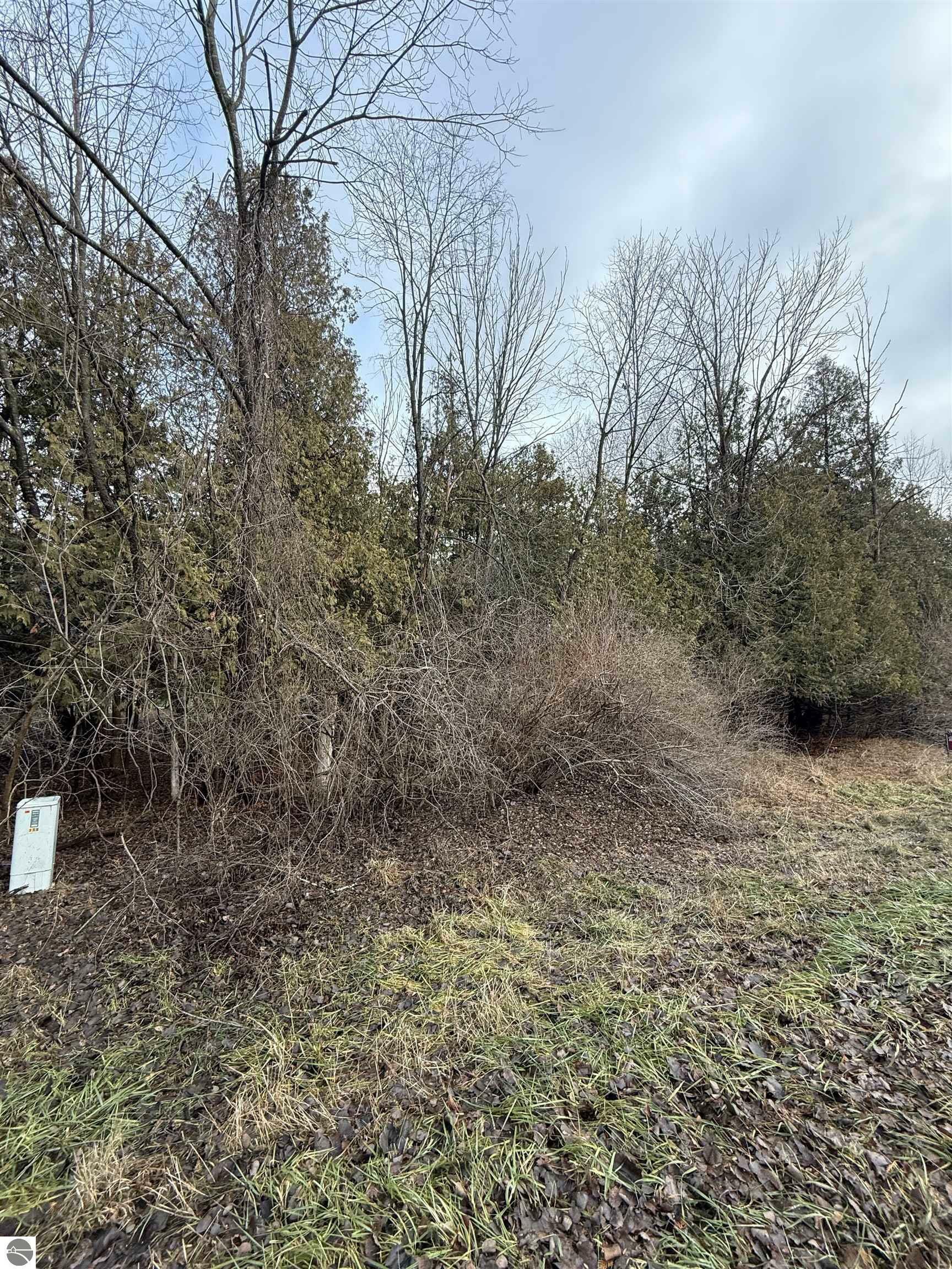 Property Photo:  Tbd Cedar Drive Lot 57  MI 48858 