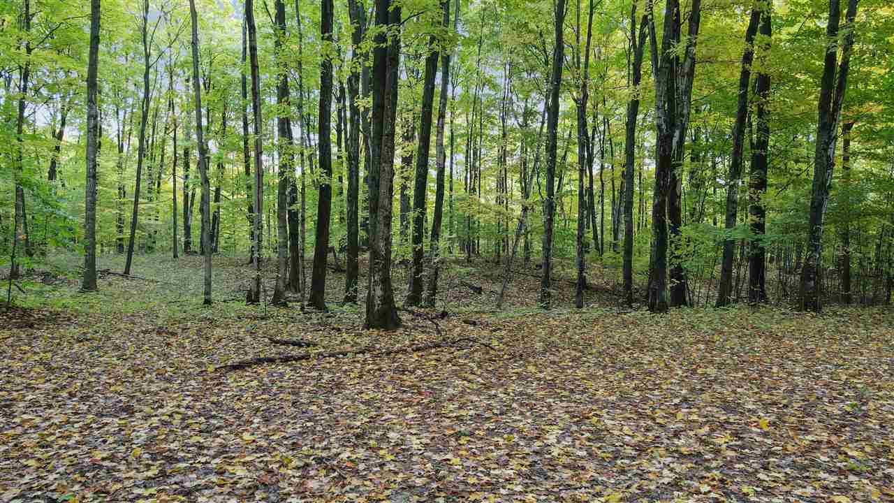 Property Photo: 3367 Needles Lot 27 MI 49740