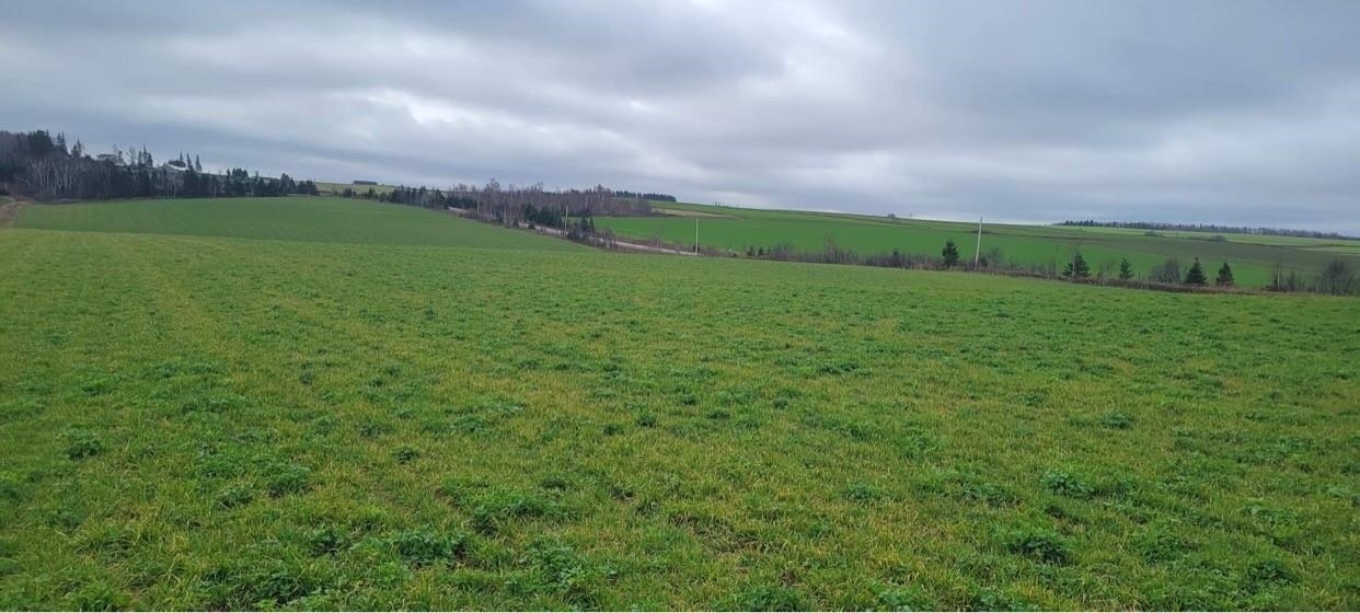 Property Photo:  Lot 6 County Line Road Rte 233  PE C0B 1M0 