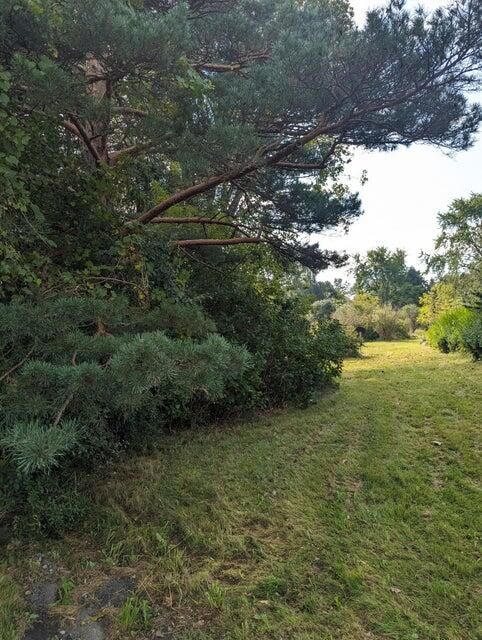 Property Photo:  Tbd Sisco  NY 12993 