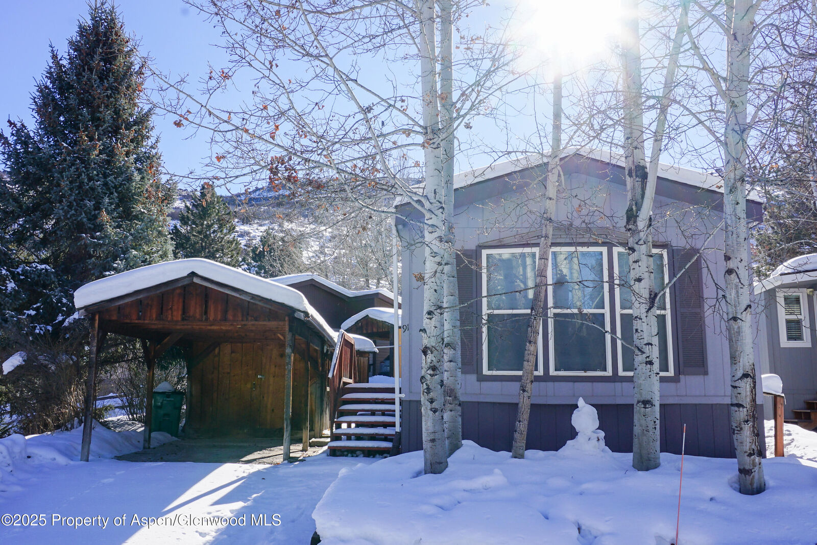 Property Photo:  91 Wildcat  CO 81611 