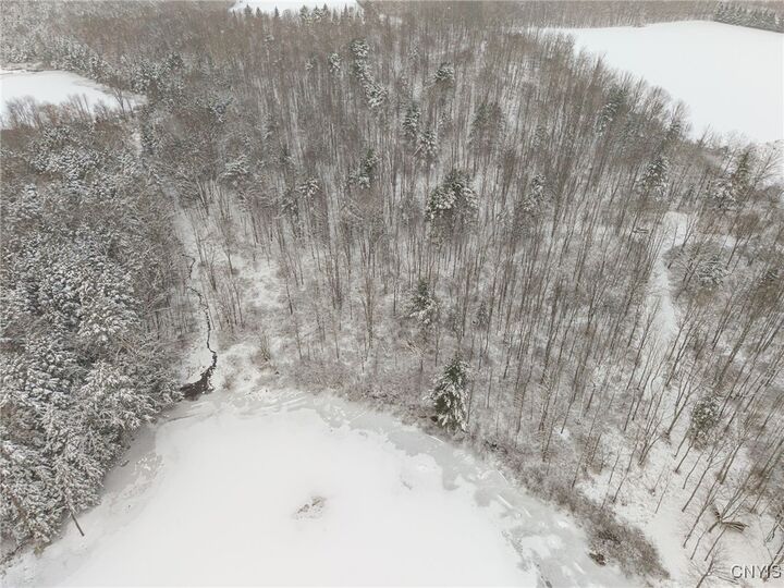 Property Photo:  00 Fawn Lake Road  NY 14801 