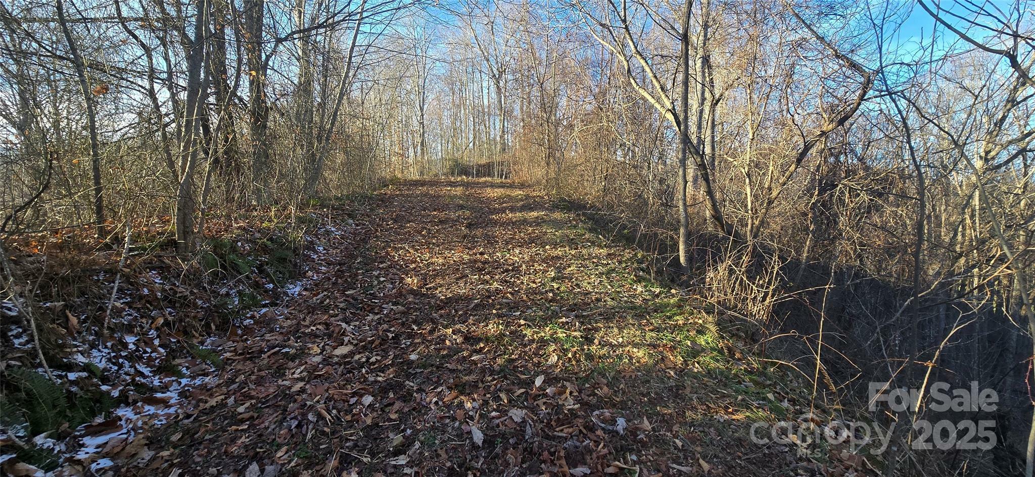 Property Photo:  Lot 23 Asa Trail  NC 28785 