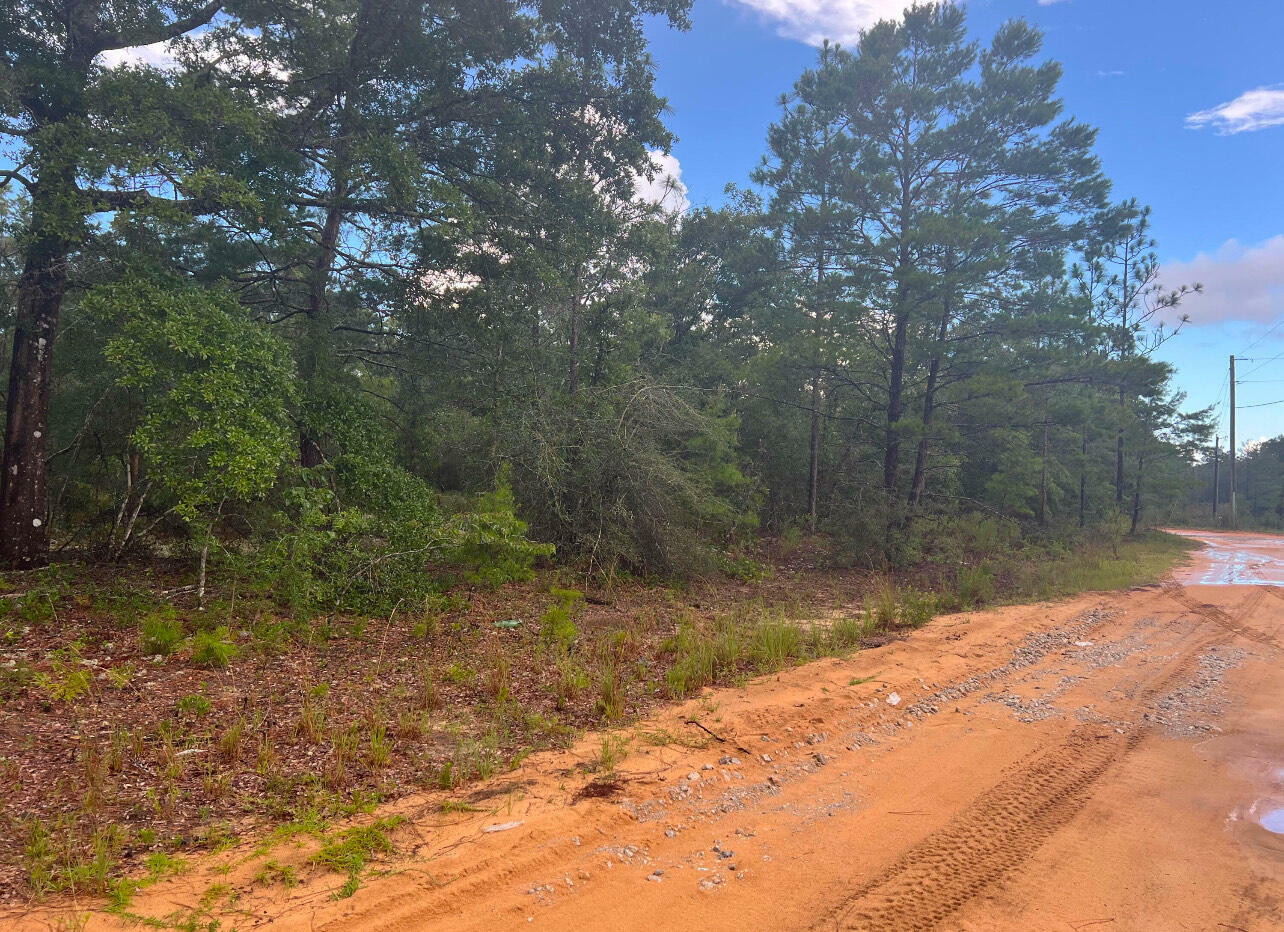 Property Photo: Lot 1 Round Table Road FL 32433