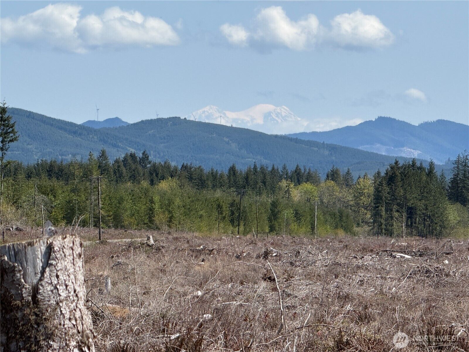 Property Photo:  2 Xx  Oppelt Road  WA 98570 