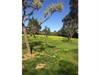 0 Villa Glen Drive  Los Gatos CA 95033 photo