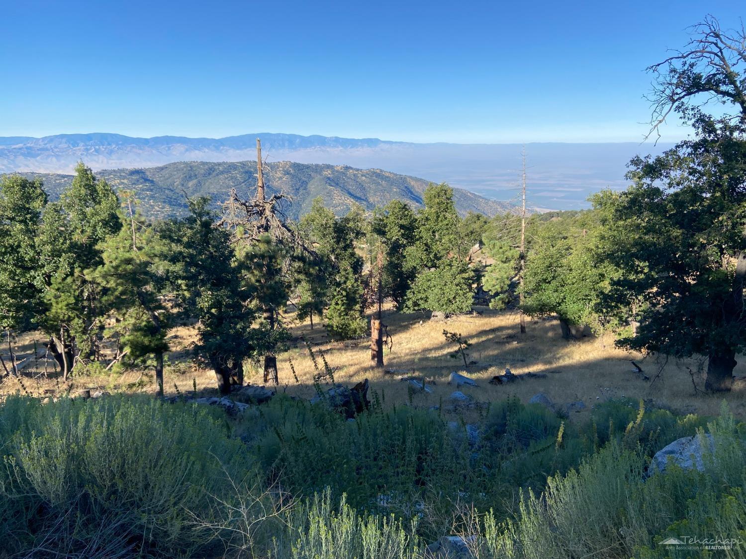 0 Surrey Way  Tehachapi CA 93561 photo