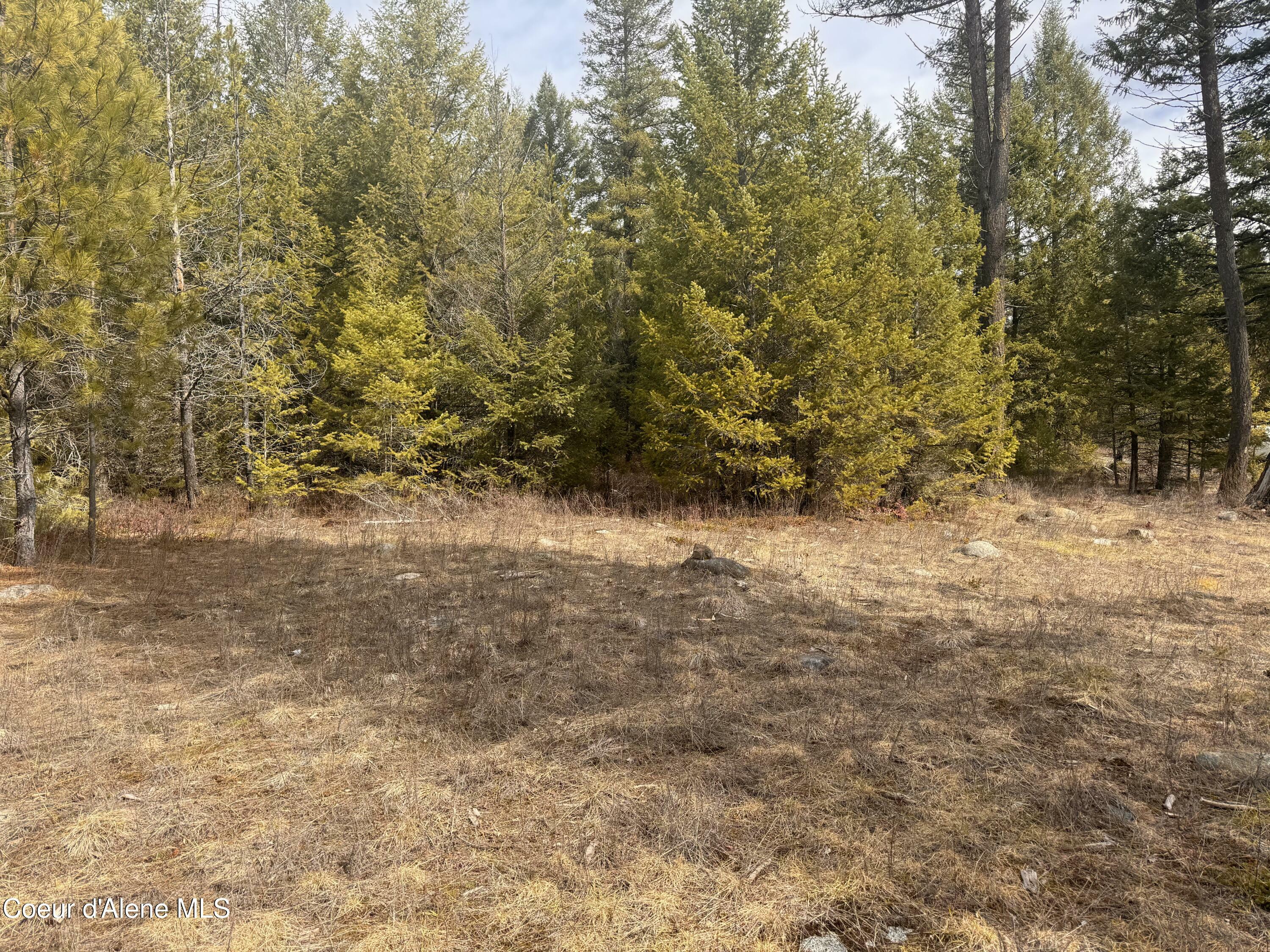 Property Photo:  Nka E Lowland Drive  ID 83801 