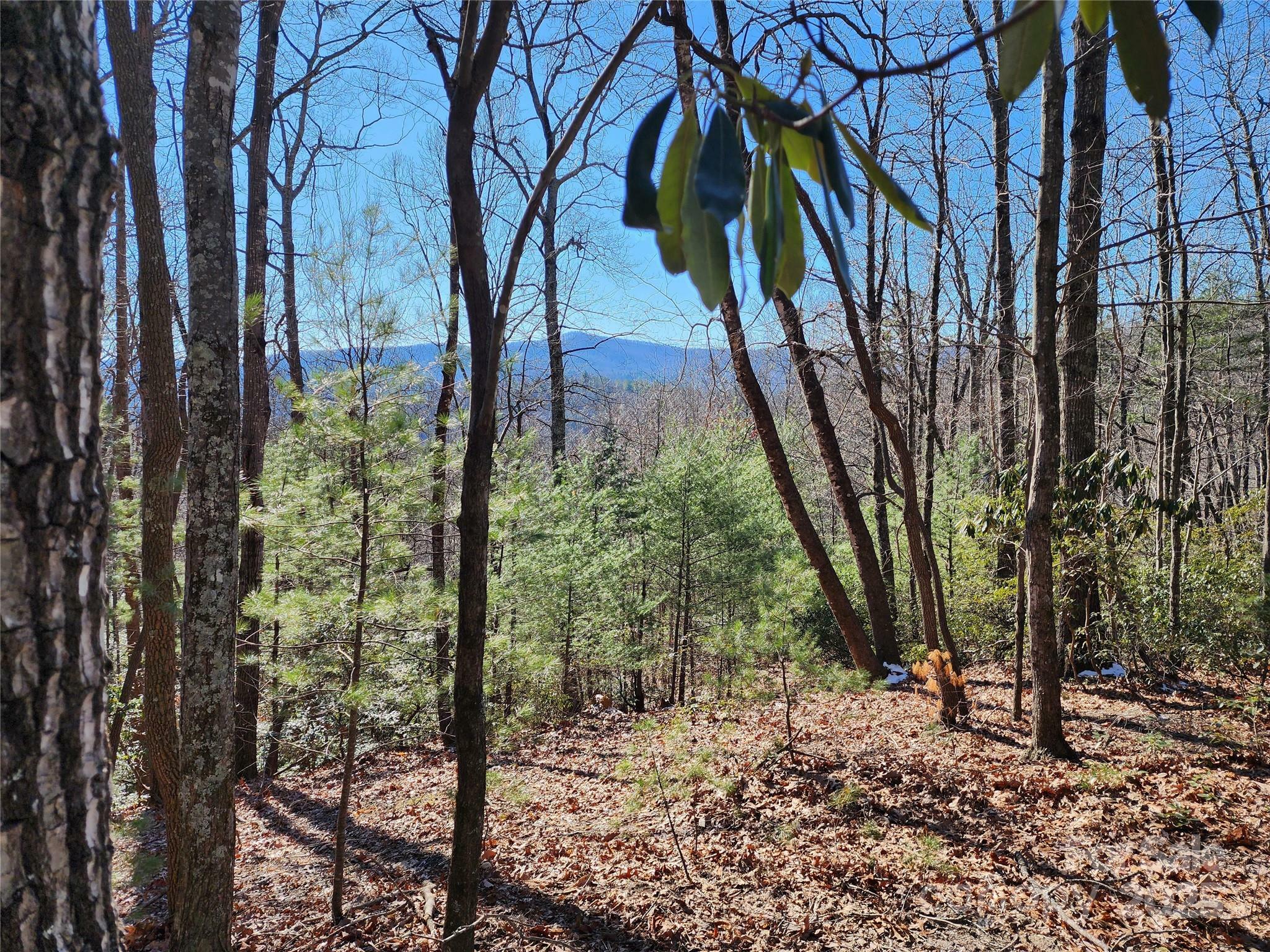 000 Mountain Vista Drive  McGrady NC 28649 photo
