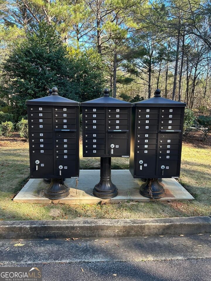 Property Photo:  100 Wolf Creek Cove  GA 30240 