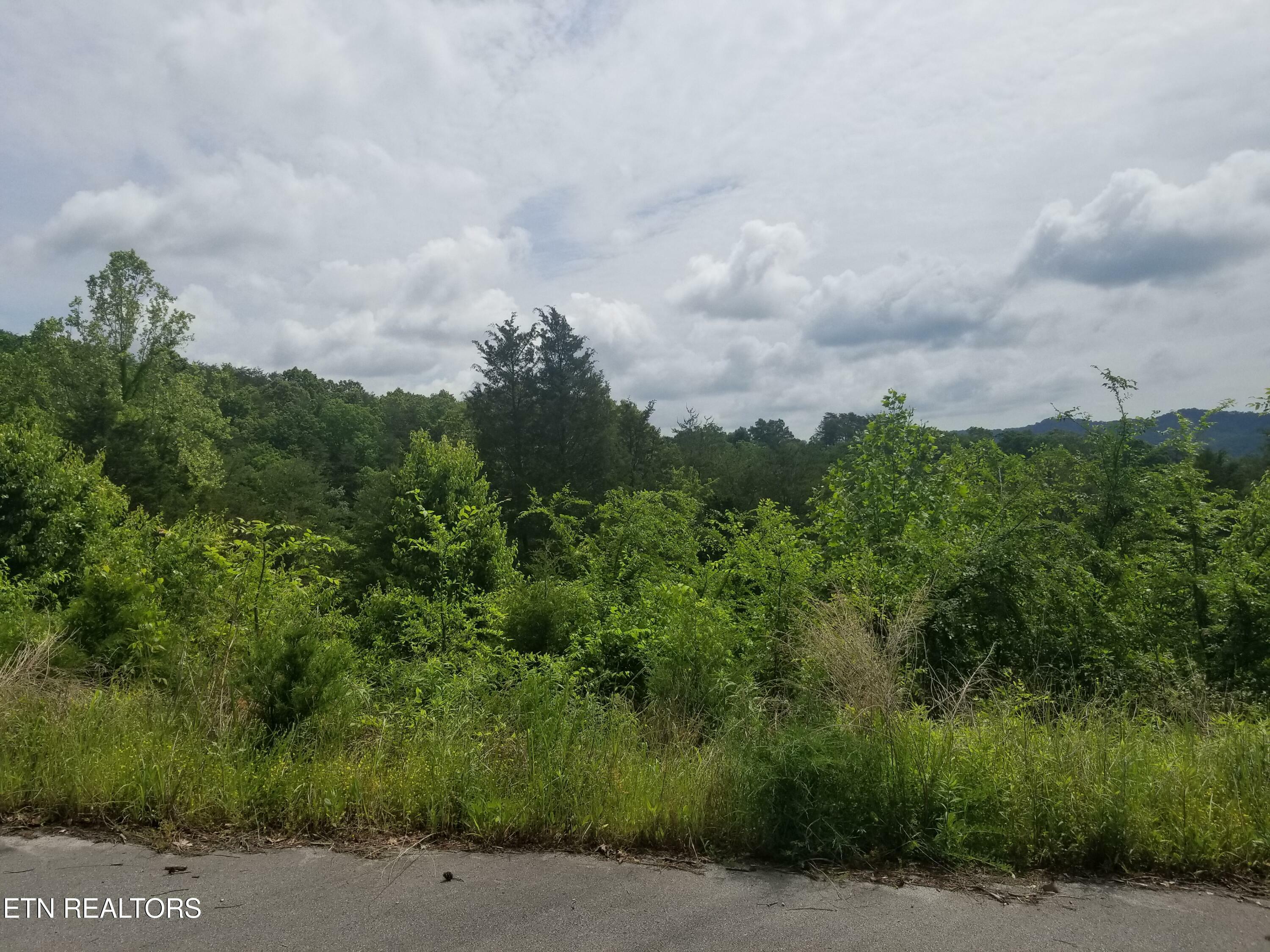 Property Photo:  Lot 61 Whispering Court  TN 37708 