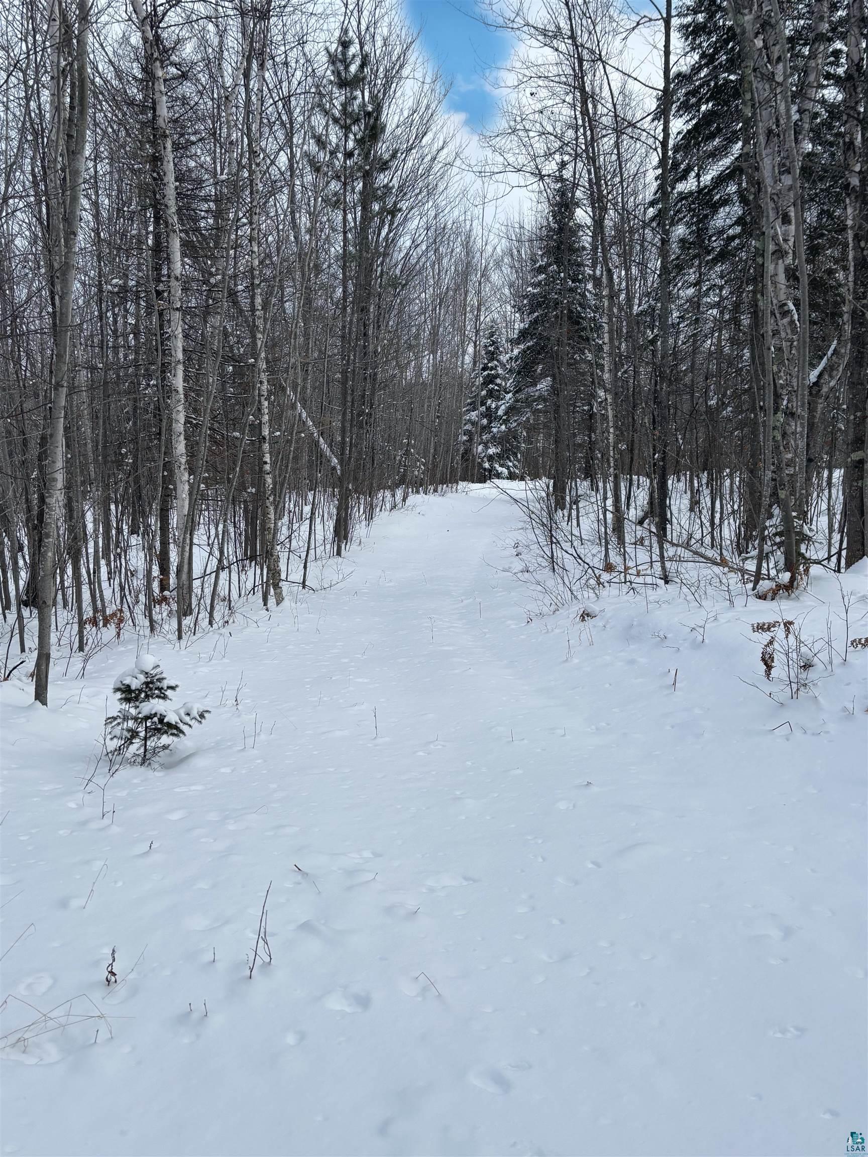 Property Photo: 000 Campbell Rd WI 54844