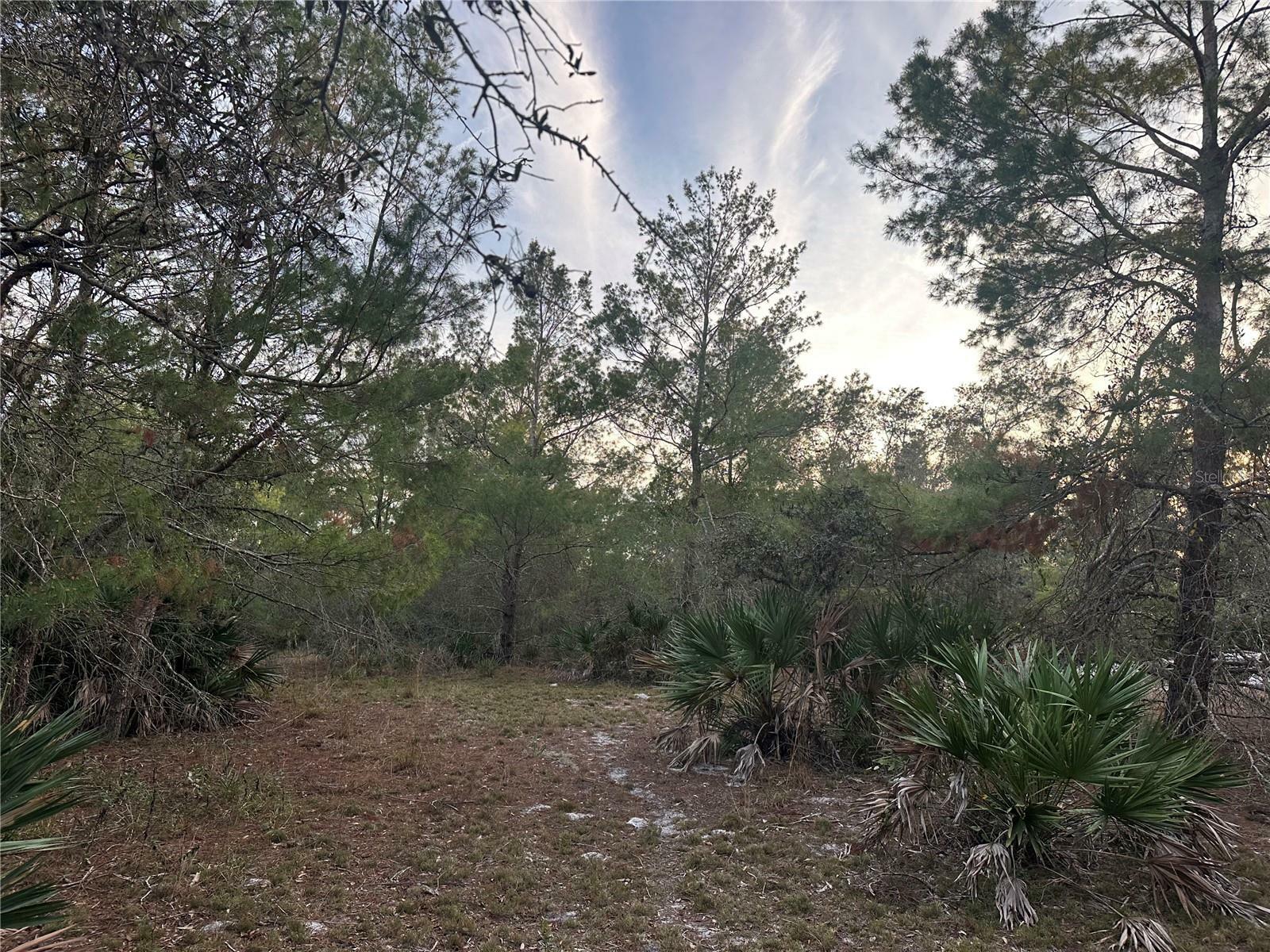 Property Photo:  473 Hobbs Drive  FL 33960 