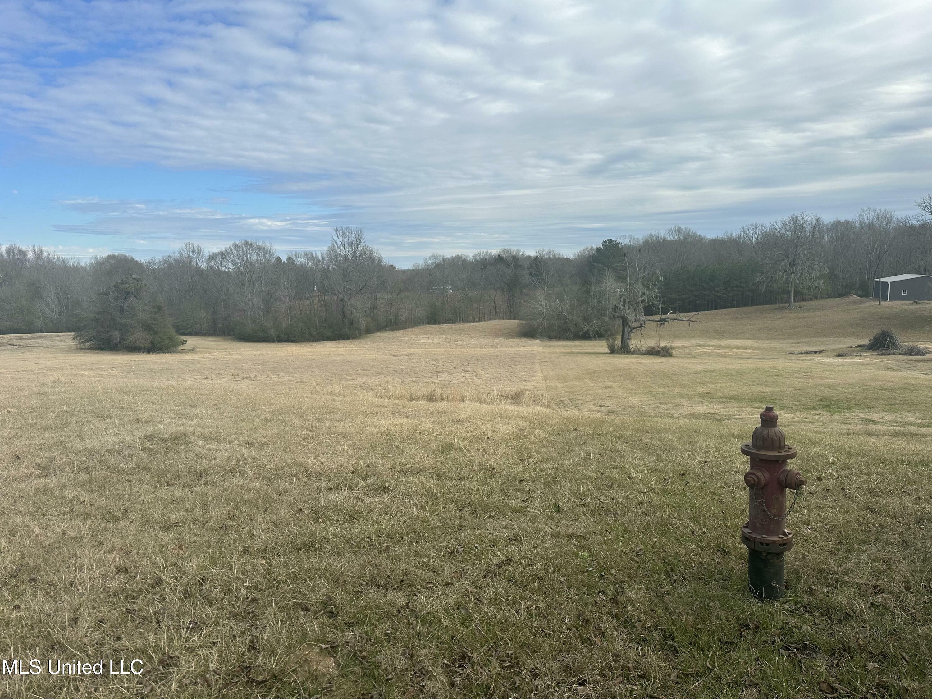 Property Photo:  Meadow Oaks Lane  MS 39056 